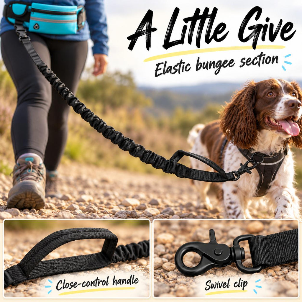 2-in-1 Hands-Free Dog Running Lead & Waist Pack