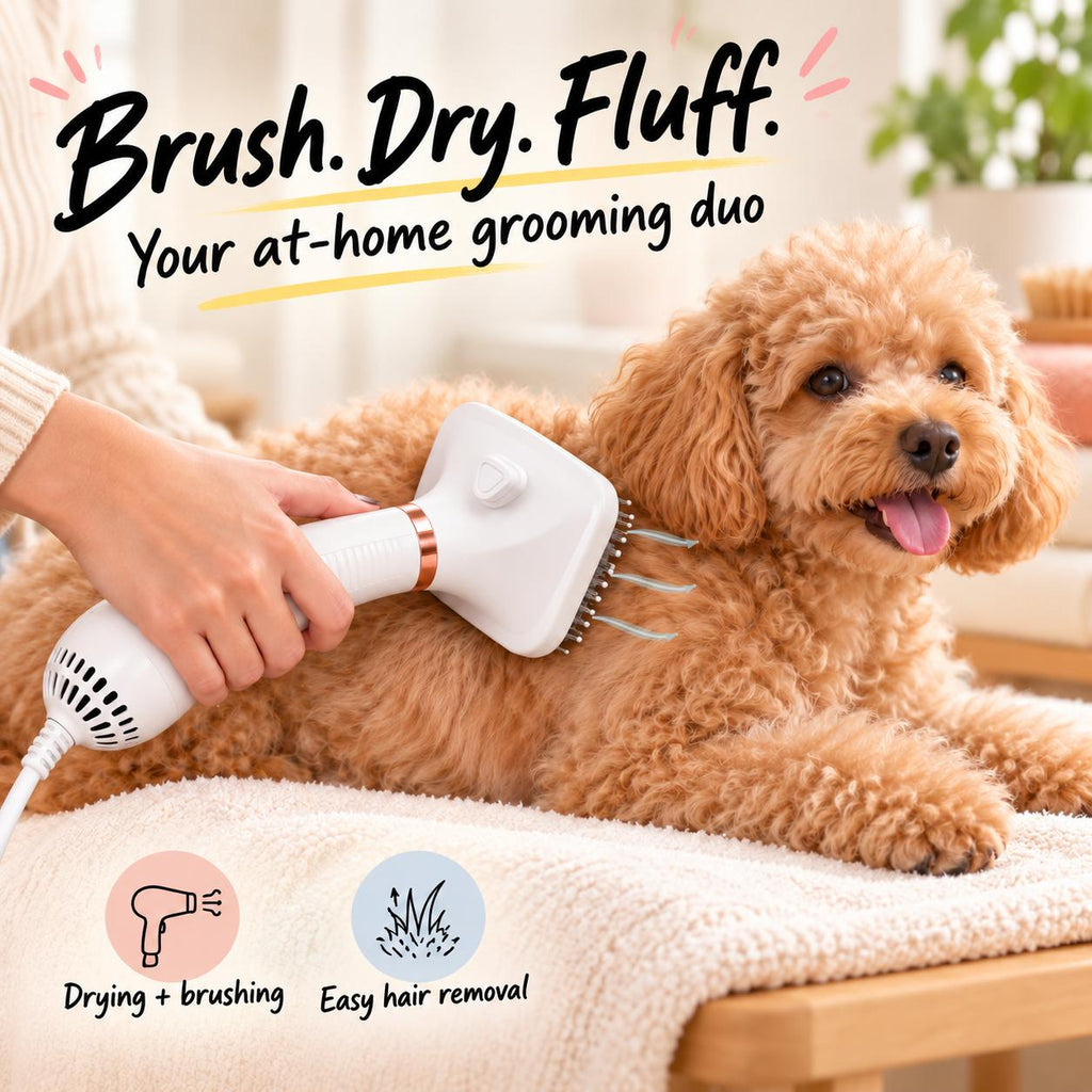 2-in-1 Pet Hair Dryer & Grooming Brush – 300W Low-Noise