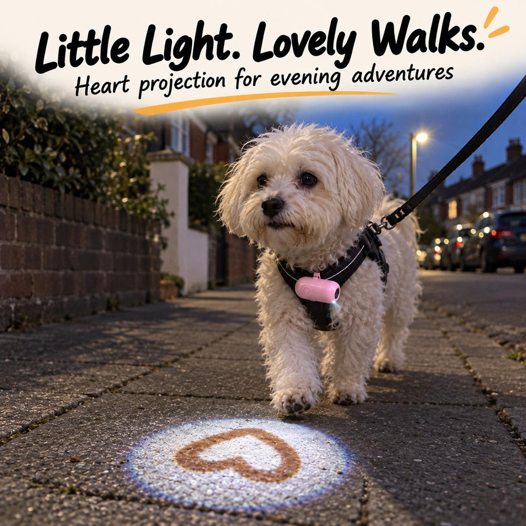 Rechargeable Pet Heart Projection Light – For Dogs & Cats