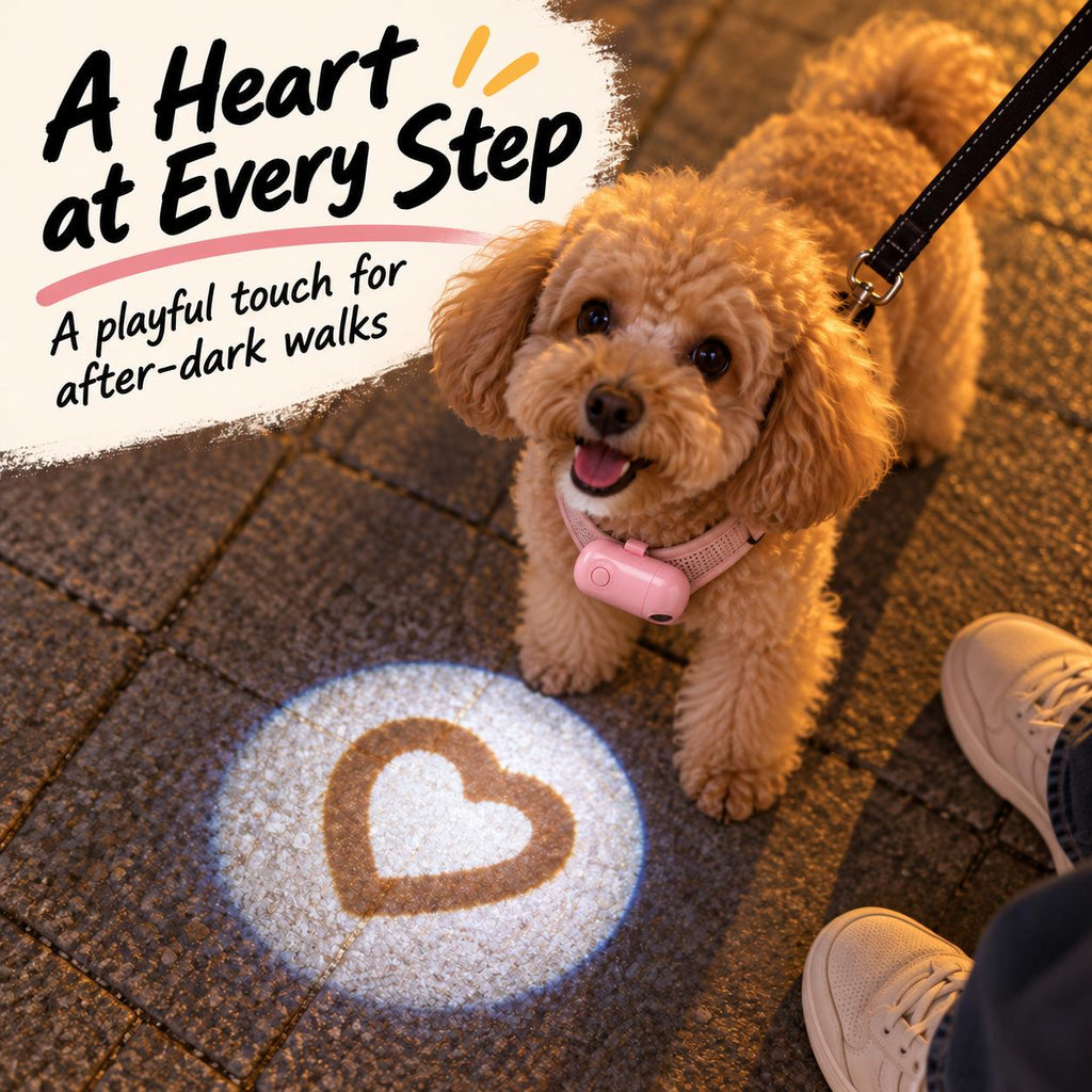 Rechargeable Pet Heart Projection Light – For Dogs & Cats
